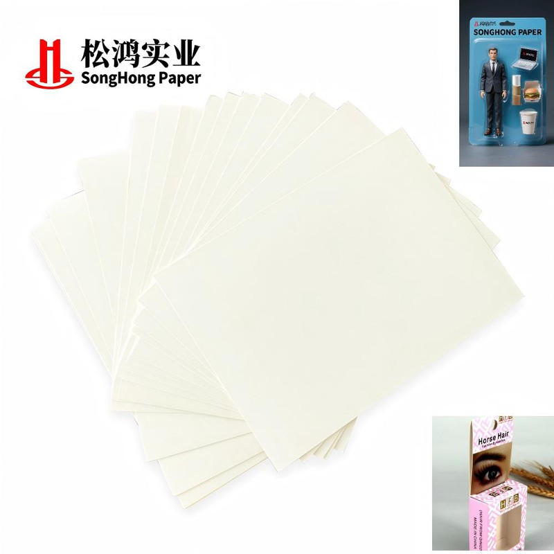 Premium paperboard hanging pack with clear blister and full-color printed backing for secure product presentation Premium paperboard hanging pack with clear blister and full-color printed backing for secure product presentation